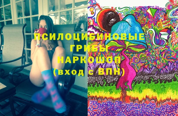 МДПВ Алексеевка