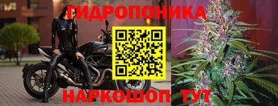 трава Пенза