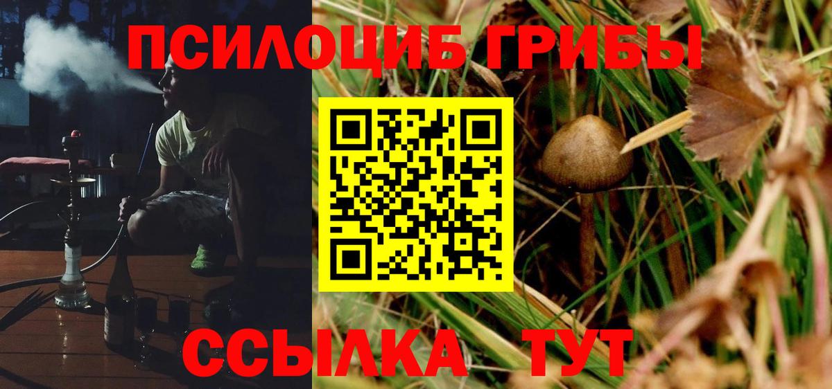Псилоцибиновые грибы прущие грибы Саянск