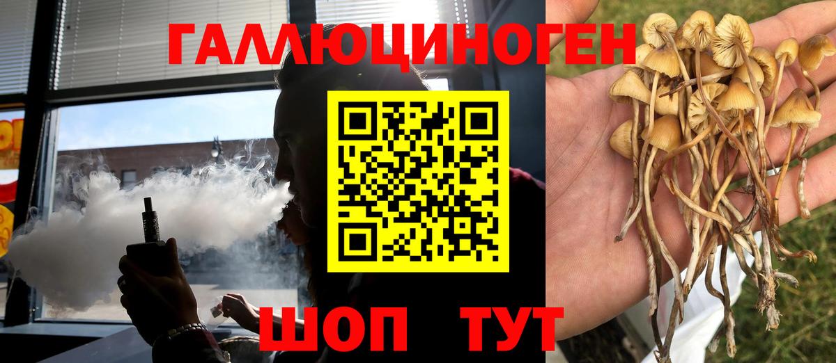 Галлюциногенные грибы Psilocybe  Вход с VPN  Саянск 